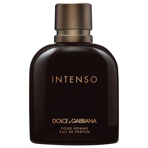 dolce gabbana intenso cijena|dolce gabbana intense fragrantica.